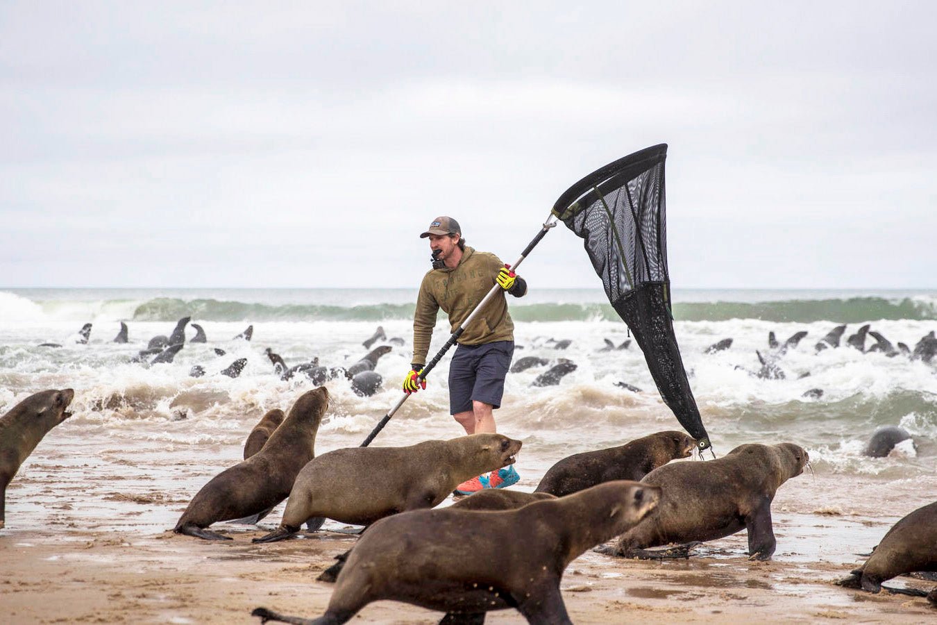 Raising Vital Funds For Ocean Conservation Namibia - Waterhaul