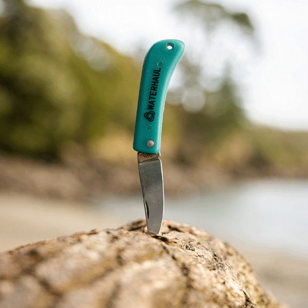Pocket knife with green handle on wooden log with coastal scenery in background
