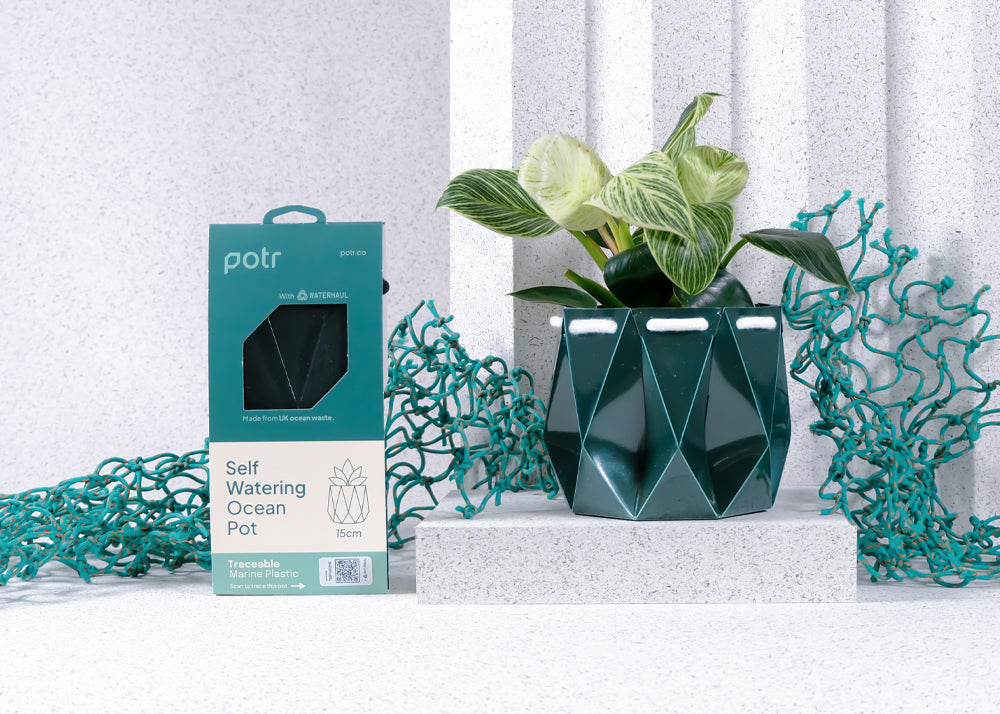 Green geometric self-watering plant pot with packaging on a white background with blue fishing nets alluding to material origins.