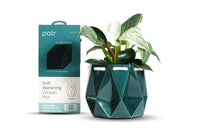 Geometric teal self-watering ocean pot with a plant and packaging on a white background