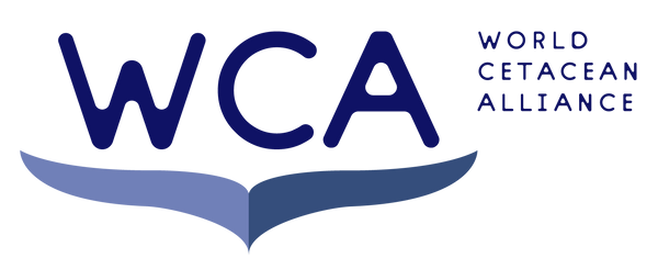 wca logo.webp__PID:88976a57-5b48-4bdf-9f0a-b12b4c5167fd